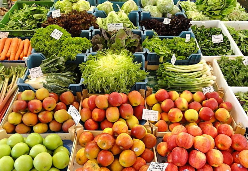 柯尼卡美能達C284e復印機打印效果