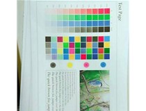 東莞客戶(hù) 柯尼卡美能達(dá)C210彩色復(fù)印機(jī)出P9|P21代碼效果問(wèn)題處理好啦