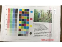 浙江寧波張先生的柯尼卡美能達(dá)復(fù)印機(jī)C210打印有紅色線維修記